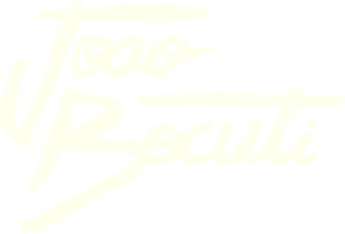 João Bocuti